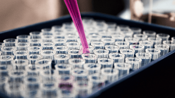 BioViva Funds Research for Aging Vaccines