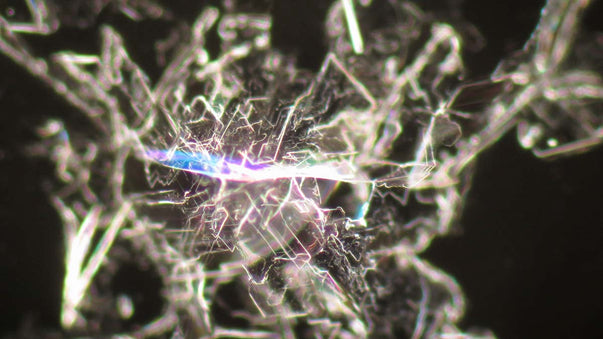 Are Amino Acid Derivatives the Precursors of Life?