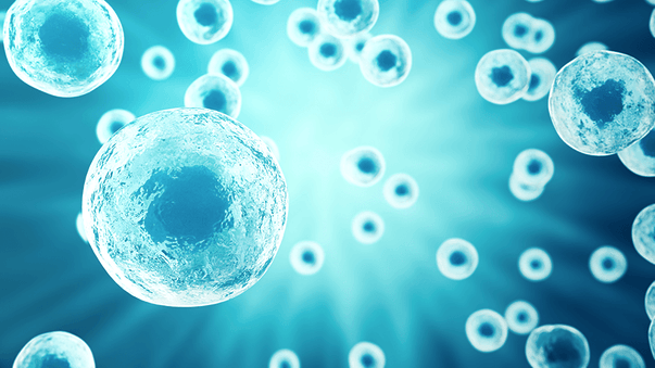 Precise Tissue Engineering with Artificial Cells