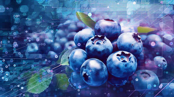 Anthocyanin May Improve Epigenetic DNA Expression