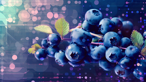 Blueberry Enhances Memory and Heart Function