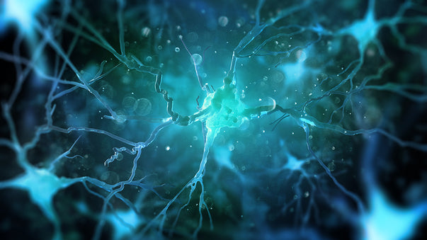 Artificial Intelligence Enhances Brain Activity Scans