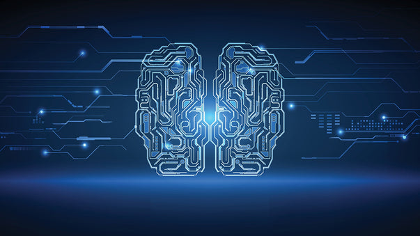 Computer Simulations Reveal Deep Mysteries of the Brain