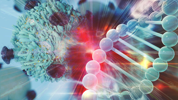 Using Bacteria to Fight Cancer with Immunotherapies