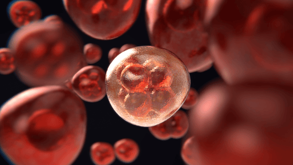 Finding and Zapping Spreading Cancer Cells