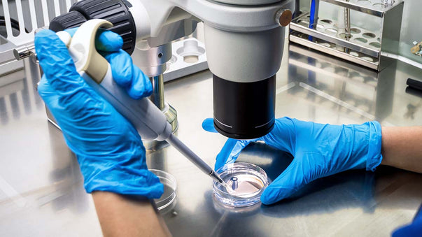 Using Viruses to Cure Cancer