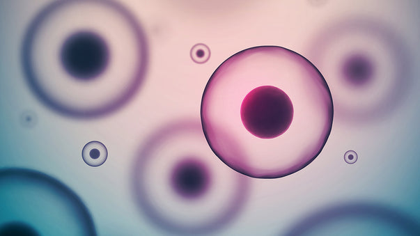 Nanoparticles May Treat Physics of Cancer