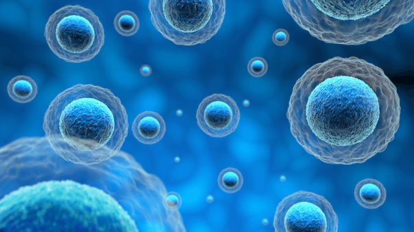 Efficient Gene Editing with Cellular Precision