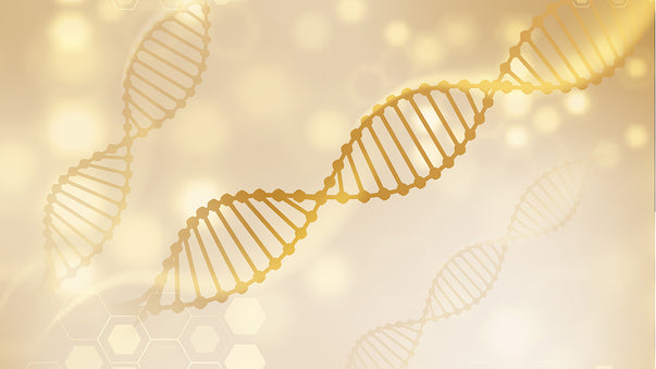 Cellular Rejuvenation Achieved in Laboratory Mice