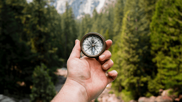 Purpose Is Important for Health and Well-Being