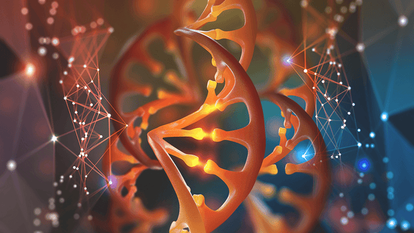 The Perils and Promises of CRISPR Gene Editing