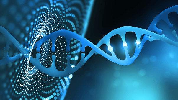 First CRISPR Trial to Edit DNA in Human Body