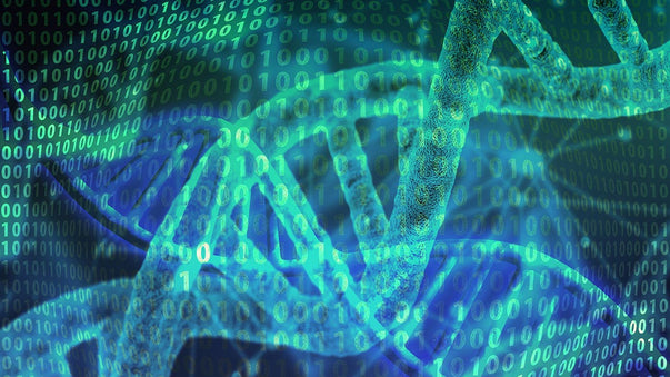 Here Comes the Digital Chemistry Revolution