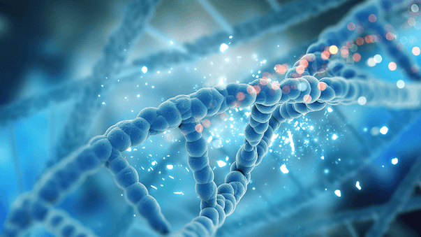 CRISPR Safety Under the Microscope
