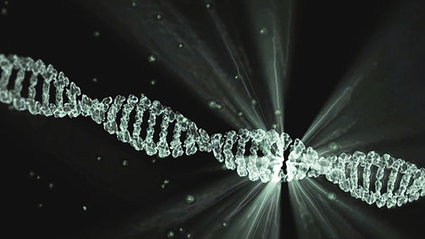 CRISPR Modifications for Faster DNA Editing