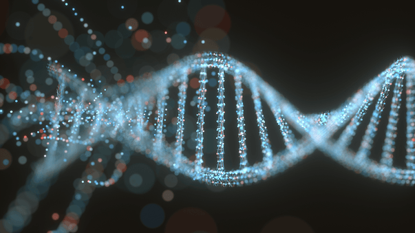 B Vitamins for DNA Methylation to Decrease Epigenetic Age