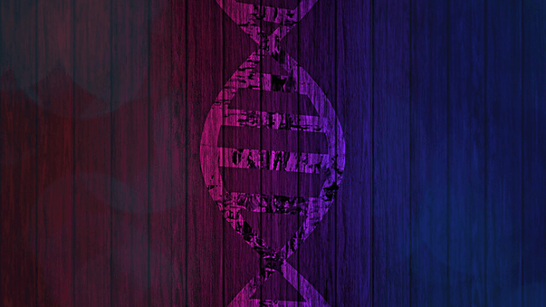 Gene Editing Therapies in Living Patients