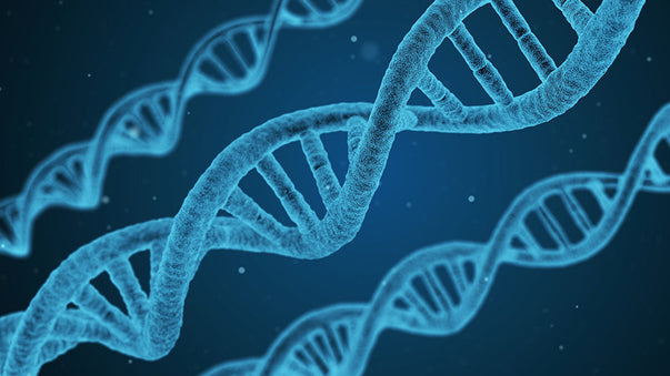 The Brave New World of CRISPR