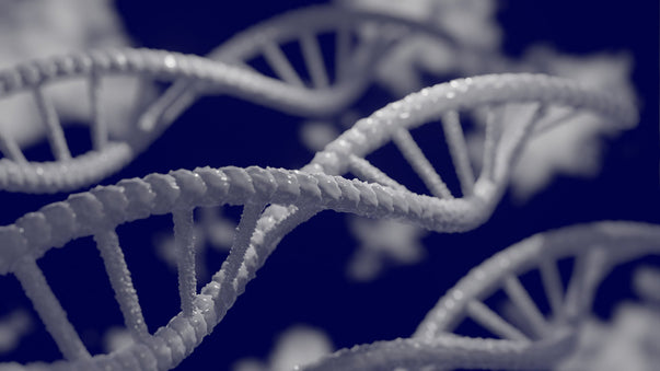 CRISPR Gene Editing Cures Inherited Disorders