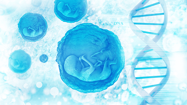 Corrective Gene Editing Before Birth