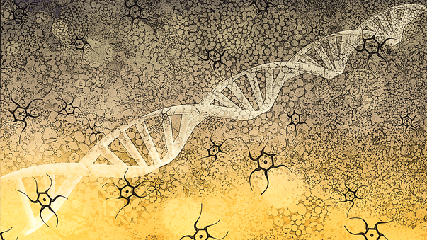 Epigenetic Expression of DNA Affects Aging and Longevity