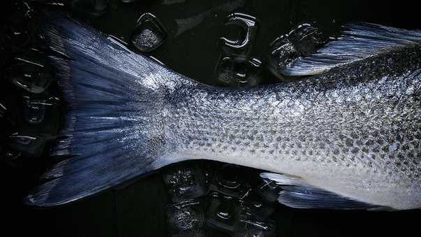 Omega 3 Effects Vary by Genotype