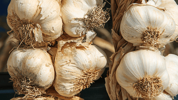 Heart Health Benefits of Garlic