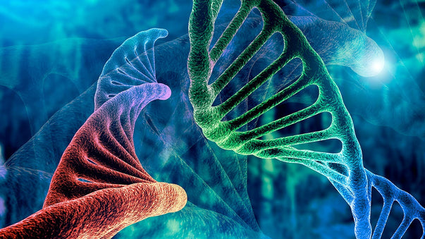 Gene Therapy for Vision and Neurology