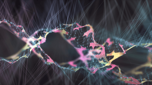 Genetics and Epigenetics Influence Dietary Supplement Effects