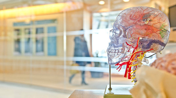 Advances from Therapeutics to Enhancements