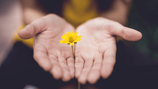 Learn to Be More Optimistic and Live Longer