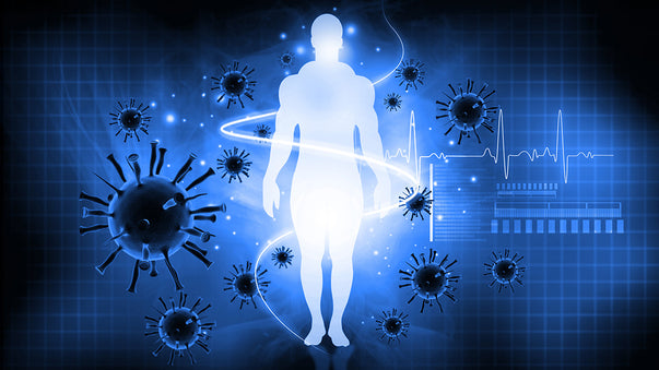 COVID-19 Immunity Could Last for Years or Decades