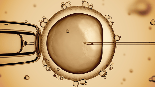 World’s First CRISPR-Edited Babies