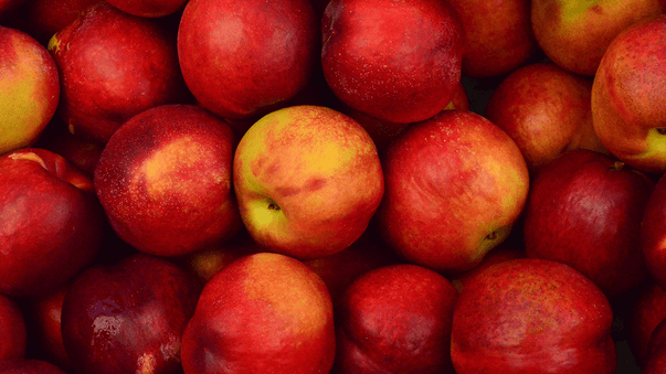 Anti-Aging, Nanotech, Medical Bots, and Apples