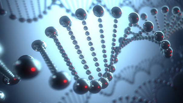 Molecular Robotics for Health Monitoring and Drug Delivery