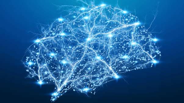 Watching Neural Activity Unfold in the Brain