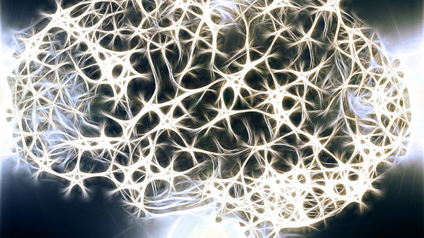 Neural Lace and Programmable Cells