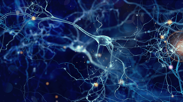 How to Promote Brain Cell Regeneration