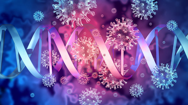Genetically-Modified Cancer-Killing Oncolytic Viruses
