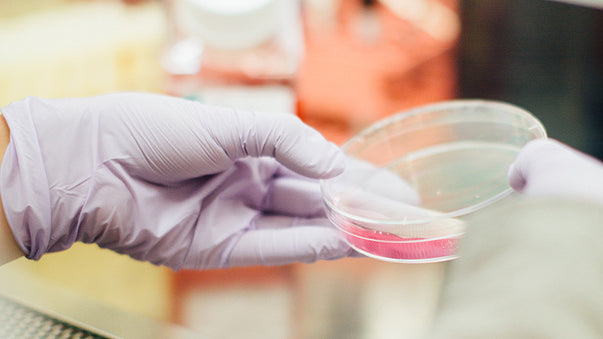 The Fast March of Synthetic Biology