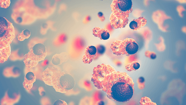 First Human Trial of Senolytics Is Successful