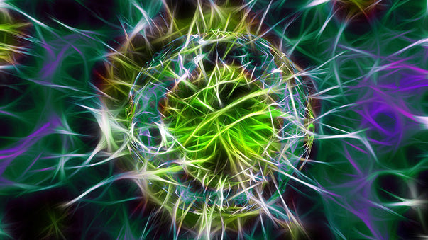 Synthetic Biologists Hack Organic Life