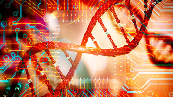Programmable Protein Circuits Between Living Cells
