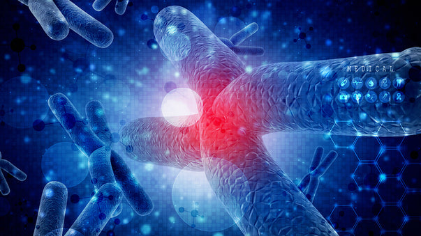 Omega 3 Supplements May Combat Cellular Aging and Stress