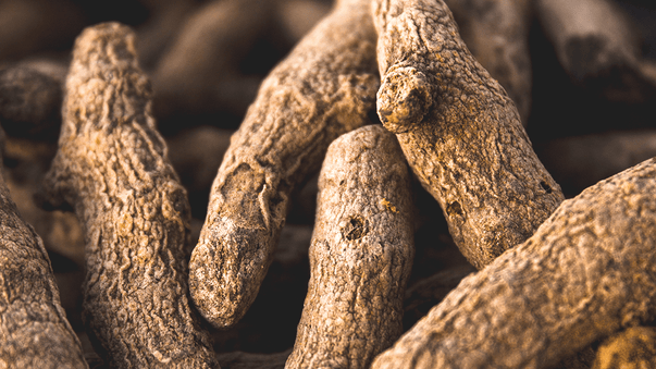 Turmeric May Enhance Memory and Joints