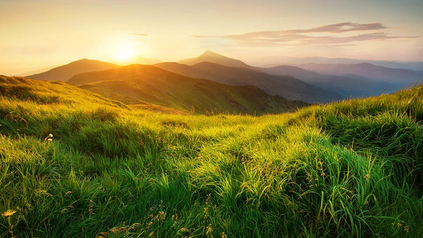 Virtual Nature Relieves Indoor Isolation
