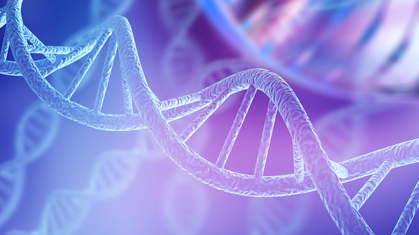 Missing Eight Percent of DNA Revealed