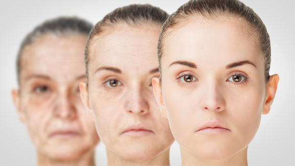 Aging Could Be Significantly Slowed