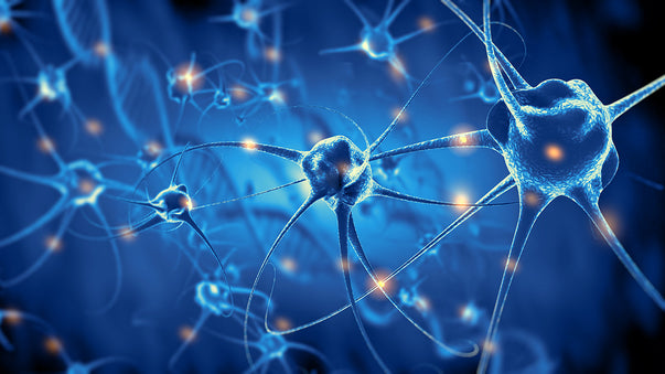 New Artificial Neurons Send and Receive Chemical Signals