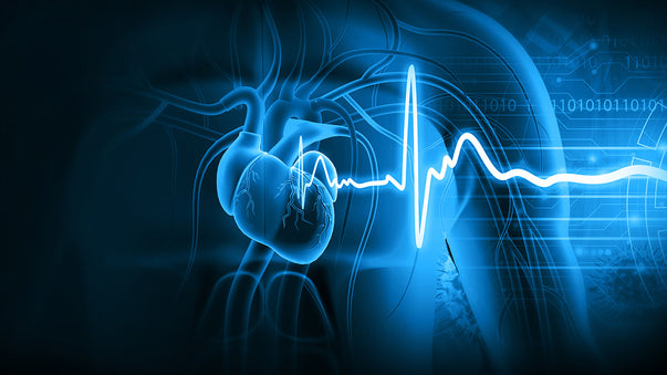 Major Step Toward Artificial Biological Hearts